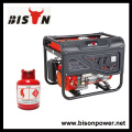 BISON (CHINA) Marca de fábrica Potencia de salida real LPG 4000Watts Generador del metano del biogás